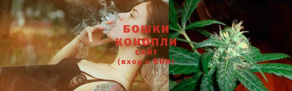 бошки Новодвинск