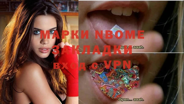 бошки Новодвинск