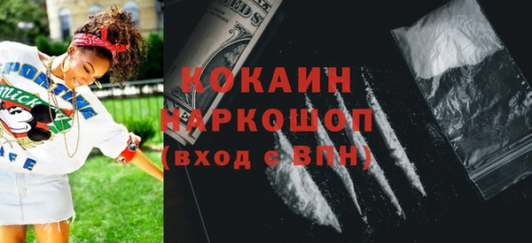 бошки Новодвинск